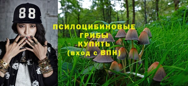 бошки Алзамай