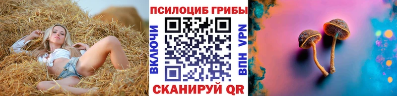 Псилоцибиновые грибы Magic Shrooms Сясьстрой